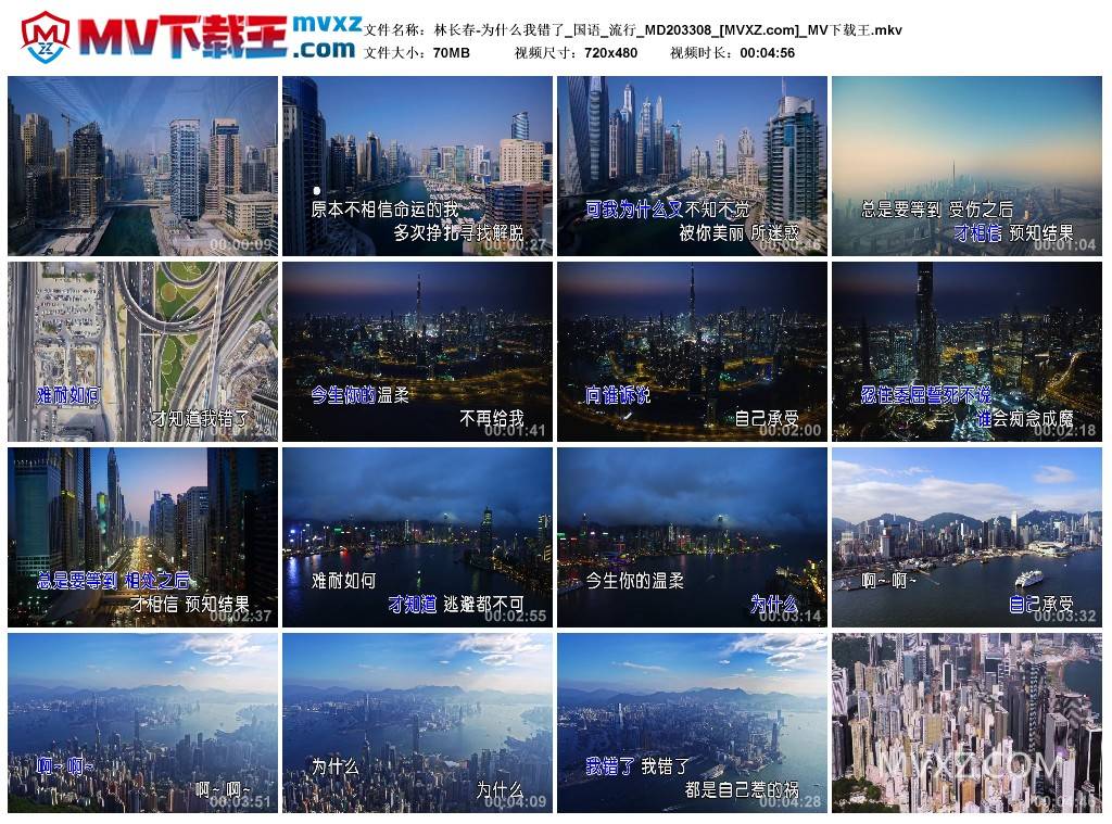 林长春-为什么我错了_国语_流行_MD203308